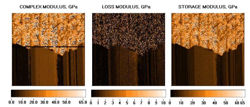 Modulus mapping combined for complex modulus, loss modulus, and storage modulus 